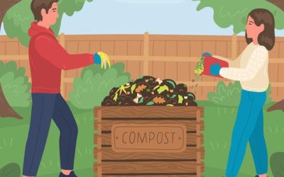 How to Compost: Step by Step Guide For Beginner